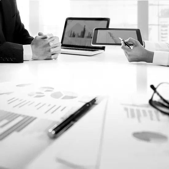 NetSuite Customization - dar.dev